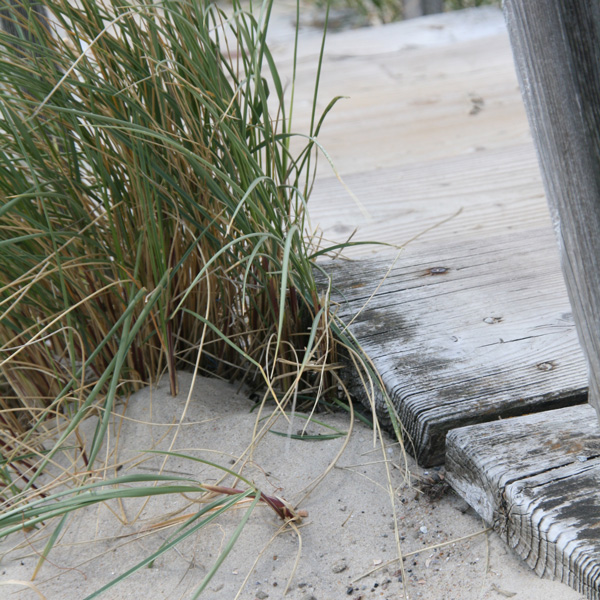 Typischer Strandweg durch die Dünen